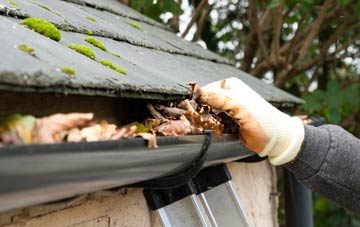 gutter cleaning West Compton
