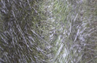 West Compton fibreglass roof work